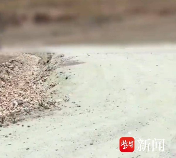 八戒策略 紫牛热点∣游客发视频称去圣象天门游玩被拦在马路上购票！景区回应：无拦路收费行为